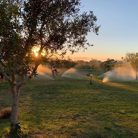 Masseria Capece Bed & Breakfast Уджано ла Киеза Екстериор снимка