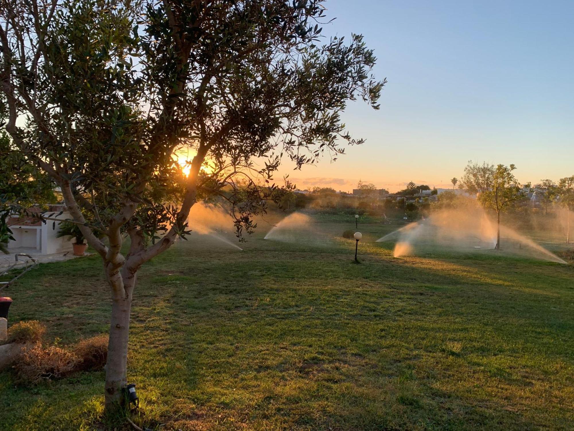 Masseria Capece Bed & Breakfast Уджано ла Киеза Екстериор снимка